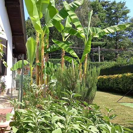 Mary Homestay szállás Venegono Superiore
